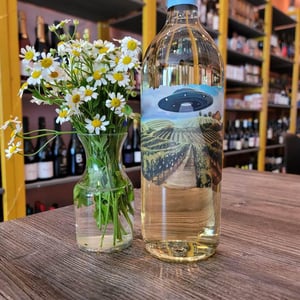 Grape Abduction Company White - Gönc Winery / Grape Adbuction - peter-gonc