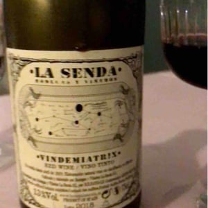Bodegas y Viñedos La Senda - Diego Losada Álvarez - Vindemiatrix