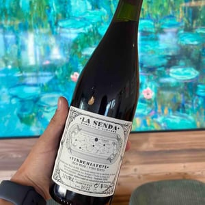 Bodegas y Viñedos La Senda - Diego Losada Álvarez - Vindemiatrix
