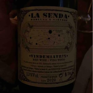 Bodegas y Viñedos La Senda - Diego Losada Álvarez - Vindemiatrix