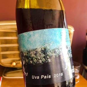 Uva Pais 🇨🇱 - Heteroclito
