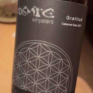 Gratitud Negre - Còsmic Vinyaters - Salvador Batlle Barrabeig 