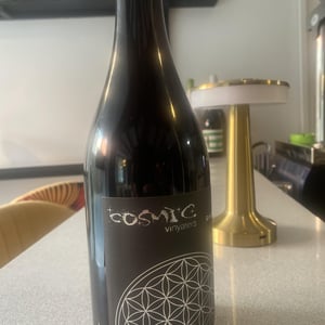 Gratitud Negre - Còsmic Vinyaters - salvador-batlle-barrabeig