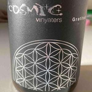Gratitud Negre - Còsmic Vinyaters - salvador-batlle-barrabeig