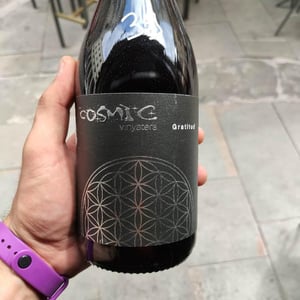 Gratitud Negre - Còsmic Vinyaters - salvador-batlle-barrabeig