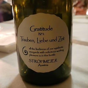Gratitude N°2 - Strohmeier - Franz Strohmeier -2022