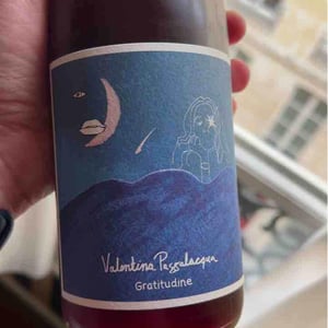 Gratitudine - Valentina Passalacqua - Valentina Passalacqua 