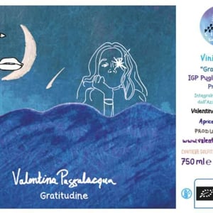 Gratitudine - Valentina Passalacqua - valentina-passalacqua