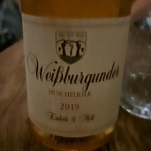 Grauburgunder - Enderle & Moll - Florian Moll & Max Lecat 
