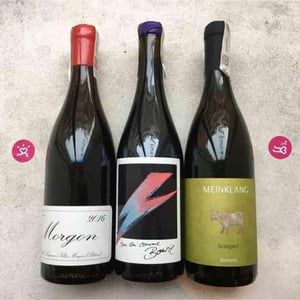 Meinklang - Weingut Michlits - Angela & Werner Michlits - Graupert
