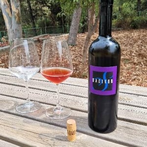 Radikon - Famiglia Radikon - Sivi