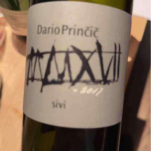 Sivi - Dario Prinčič - Dario Prinčič -2017