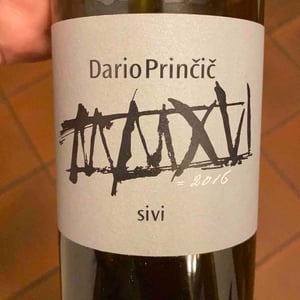 Sivi - Dario Prinčič - dario-princic -2017