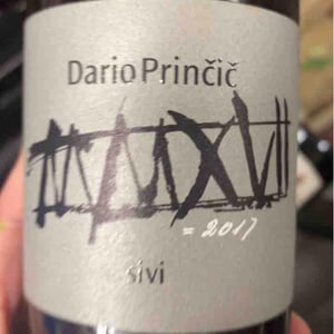 Sivi - Dario Prinčič - dario-princic -2017