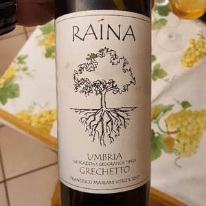 Grechetto 2018