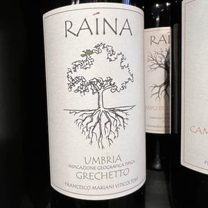 Grechetto - Raína - francesco-mariani