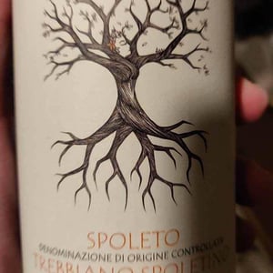 Grechetto - Raína - francesco-mariani