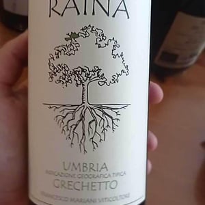 Grechetto - Raína - francesco-mariani