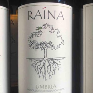 Grechetto - Raína - francesco-mariani