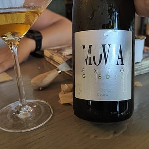 Gredic - Movia - Aleš Kristančič 