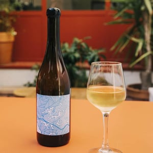 Greek Connection Classic X Jason Ligas - Vin des Potes - basile-passe