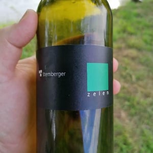 Vina Štemberger - Sebastianj Štemberger - Zelen