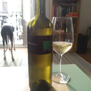Zelen - Vina Štemberger - Sebastianj Štemberger 