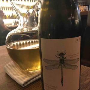 Weingut Andreas & Elisabeth Tscheppe - Andreas & Elisabeth Tscheppe - Grüne Libelle - Sauvignon Blanc