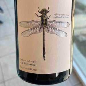 Weingut Andreas & Elisabeth Tscheppe - Andreas & Elisabeth Tscheppe - Grüne Libelle - Sauvignon Blanc