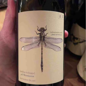 Grüne Libelle - Sauvignon Blanc - Weingut Andreas & Elisabeth Tscheppe - Andreas & Elisabeth Tscheppe 