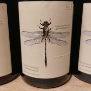 Grüne Libelle - Sauvignon Blanc - Weingut Andreas & Elisabeth Tscheppe - Andreas & Elisabeth Tscheppe 