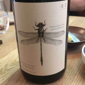 Grüne Libelle - Sauvignon Blanc - Weingut Andreas & Elisabeth Tscheppe - andreas-elisabeth-tscheppe