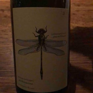 Grüne Libelle 2017 - Weingut Andreas & Elisabeth Tscheppe - Andreas & Elisabeth Tscheppe