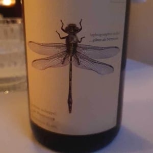 Weingut Andreas & Elisabeth Tscheppe - Andreas & Elisabeth Tscheppe - Grüne Libelle - Sauvignon Blanc