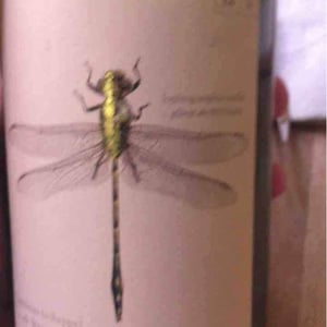 Weingut Andreas & Elisabeth Tscheppe - Andreas & Elisabeth Tscheppe - Grüne Libelle - Sauvignon Blanc