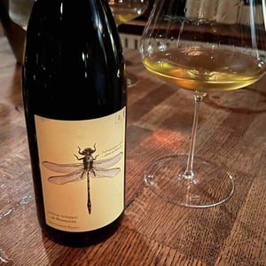 Grüne Libelle - Sauvignon Blanc - Weingut Andreas & Elisabeth Tscheppe - Andreas & Elisabeth Tscheppe 