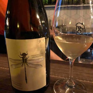 Grüne Libelle - Sauvignon Blanc - Weingut Andreas & Elisabeth Tscheppe - Andreas & Elisabeth Tscheppe 