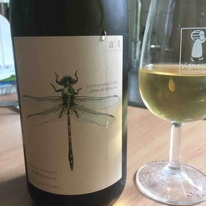 Grüne Libelle - Sauvignon Blanc 2013