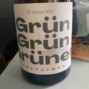 Grün Grün Grüner - Weingut Schödl Family - Mathias, Viktoria & Leonhard Schödl -2024