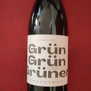 Grün Grün Grüner - Weingut Schödl Family - Mathias, Viktoria & Leonhard Schödl -2024