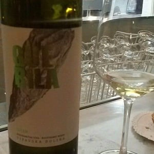 Zelen 2016
