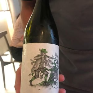 zelen 2016