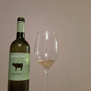 Grüner Veltliner - Meinklang - Weingut Michlits - angela-werner-michlits