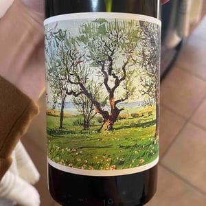 Gruner Veltliner - Johan Vineyards - Dag J. Sundby & Dan J. Rinke -2019