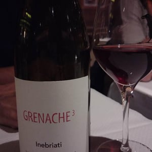 Grenache 3 - Domaine Inebriati - Victor Beau 