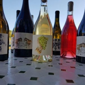 Grenache Blanc - Domaine de la Cavalière - domaine-de-la-cavaliere