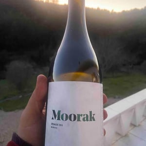 Grenache - Moorak Wines - jordan-hein -2019