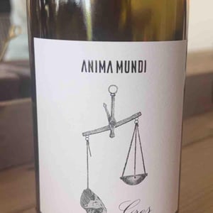 Gres - Anima Mundi - Agustí Torelló Roca 