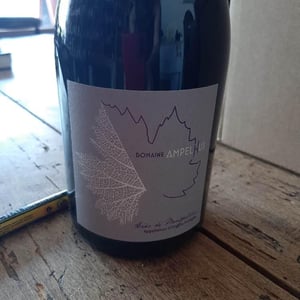 Grès de Montpellier - Domaine Ampelhus - jenia-vasiljeva-thibault-vermillard