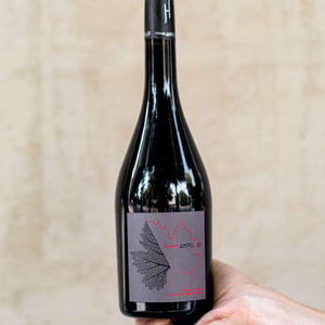 Grès de Montpellier - Domaine Ampelhus - jenia-vasiljeva-thibault-vermillard